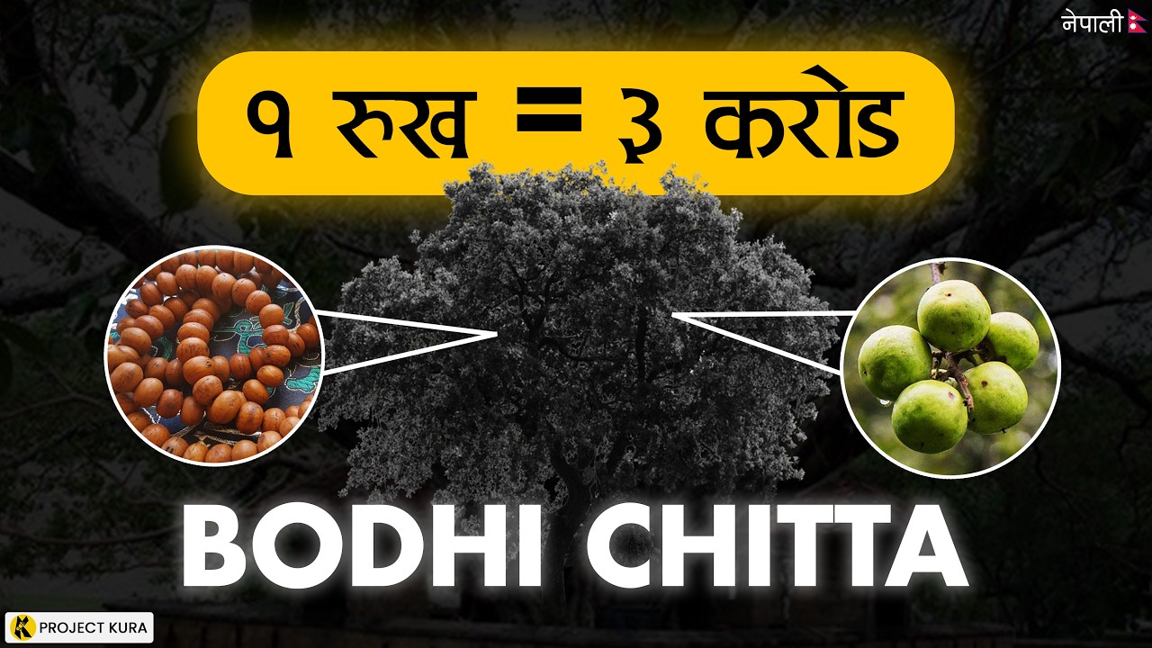 How Bodhichitta is Changing an Entire Village in Nepal?