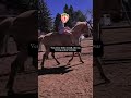 I AM NOT TARGETING ANY BODY THIS IS FOR EDUCATION!!!!! #horse