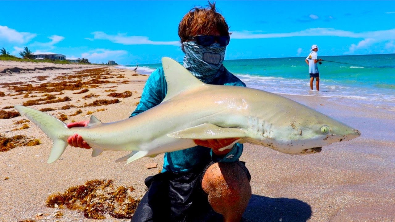 Fishing Bait Schools on the Beach!! 