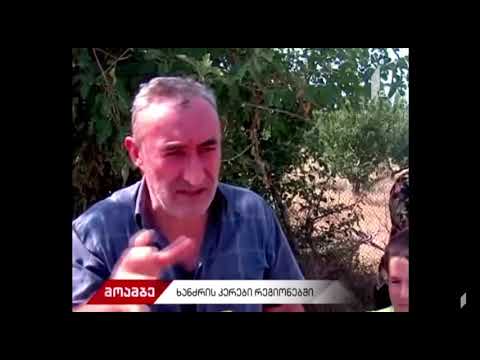 ხანძრის კერები საქართვლოში