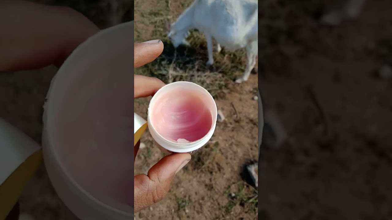 مشاكل الضرع والعلاج