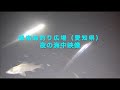 夜の碧南海釣り広場（愛知県）水中映像 の動画、YouTube動画。