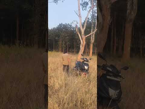Intorq Bike Cinematic Ride — speed, style aur power ka perfect combo. Har frame mein attitude, har