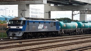 2019/03/30 JR貨物 8571レ EF210-151 根岸駅 | JR Freight: Oil Tank Cars by EF210-151 at Negishi