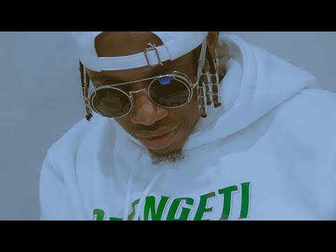 RAYVANNY FT FIDO VATO CHUGA HIYO OFFICIAL VIDEO 