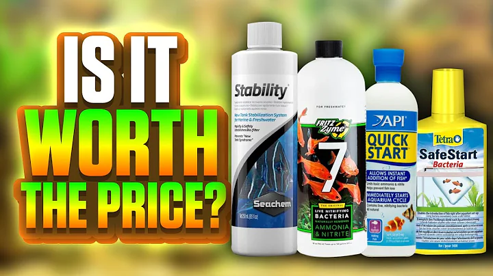 Does Bacteria In A Bottle Work? (Seachem Stability, API Quick Start, Fritzzyme 7, Tetra Safe Start)