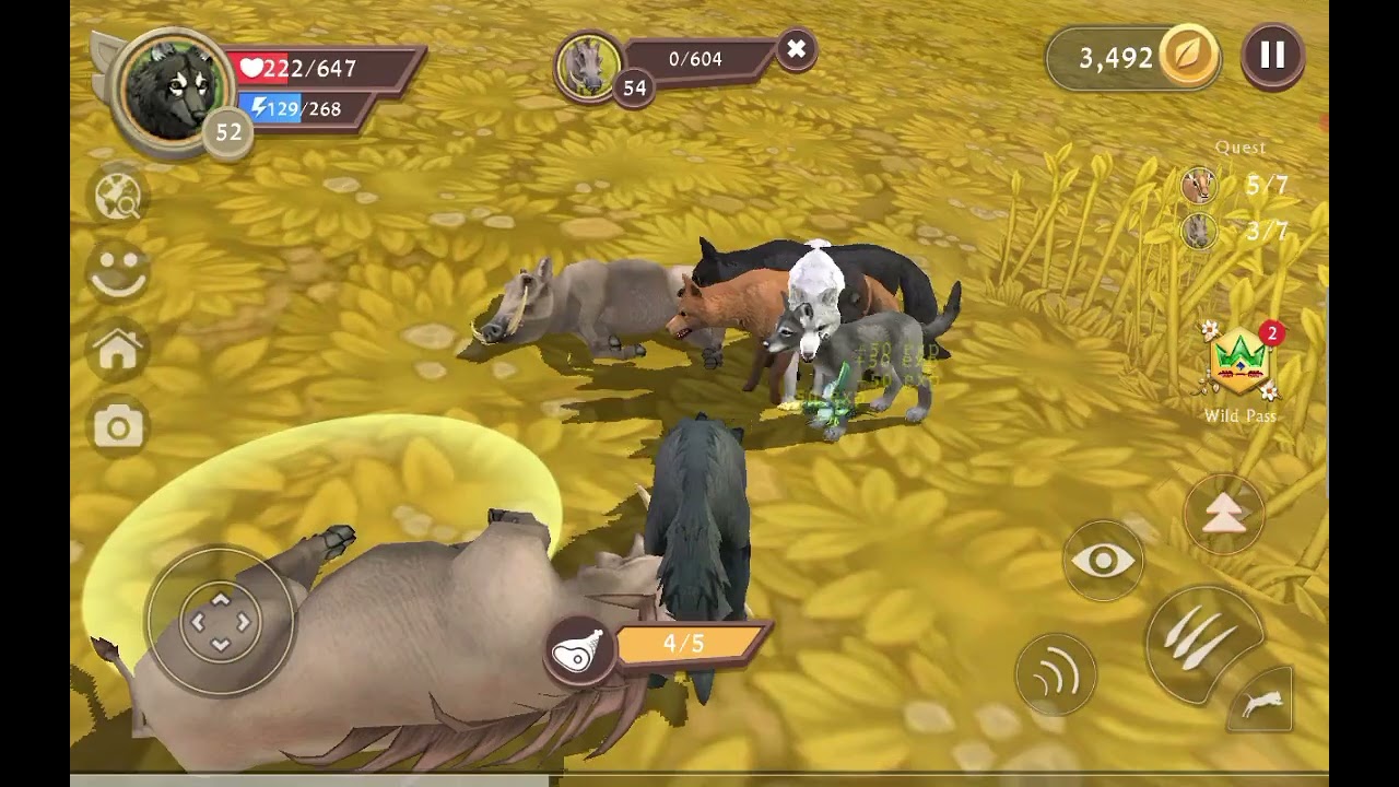 سلسلة جديد 1 