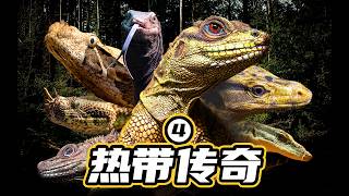 长角的蛇，居然要化龙了？？！