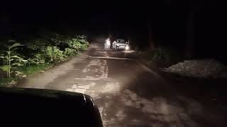 Spoted ROCK PYTHON CROSSING ROAD,