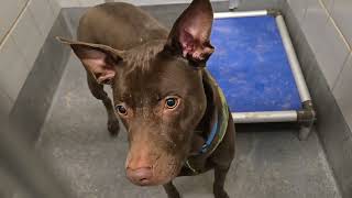 Acs A751064