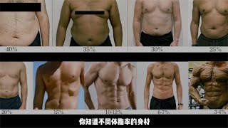 不同体脂率的身材和特征｜从3%到60%｜男性版