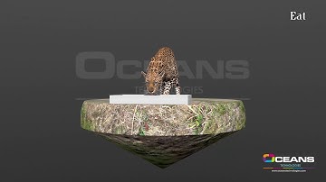 Leopard Animation - Oceans Technologies