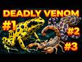 30 Most Venomous Animals In The World