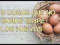 8 Cosas que no sabias de los huevos de gallinas - Luis Alberto