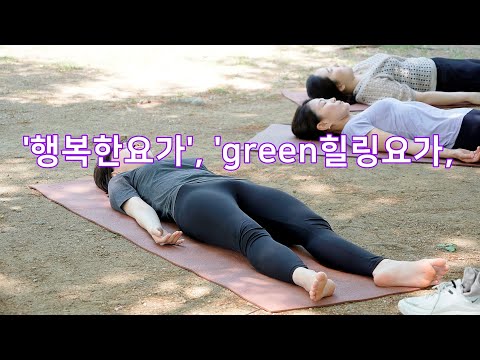 <strong>평촌</strong> 행복한요가 김희진 강사의  &amp;#39;green힐링요가&amp;#39; 야외 클래스-part2