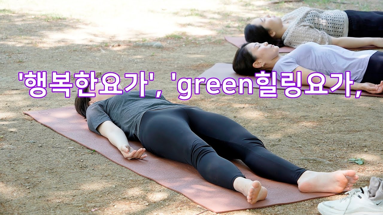 평촌 행복한요가 김희진 강사의  'green힐링요가' 야외 클래스-part2