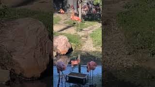 Omaha's Henry Doorly Zoo and Aquarium