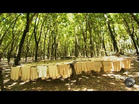 Natural Rubber | How It's