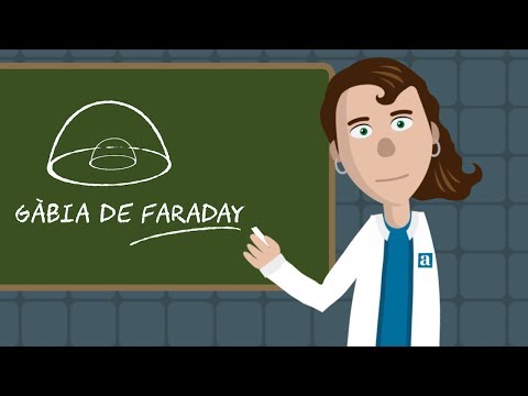 Vídeo: Les gàbies de Faraday bloquegen el wifi?