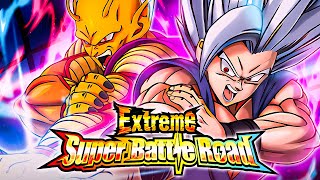 NO ITEM RUN! BOND OF MASTER & DISCIPLE EXTREME SUPER BATTLE ROAD! (DBZ: Dokkan Battle)