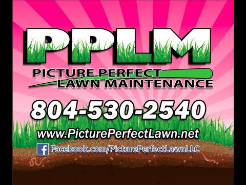Birkdale Lawn Care Fertilization Weed Control​ by Picture Perfect Lawn Maintenance | (804) 530-2540