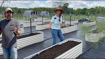 The BEST Decision We’ve Made…Growing in Raised Beds!