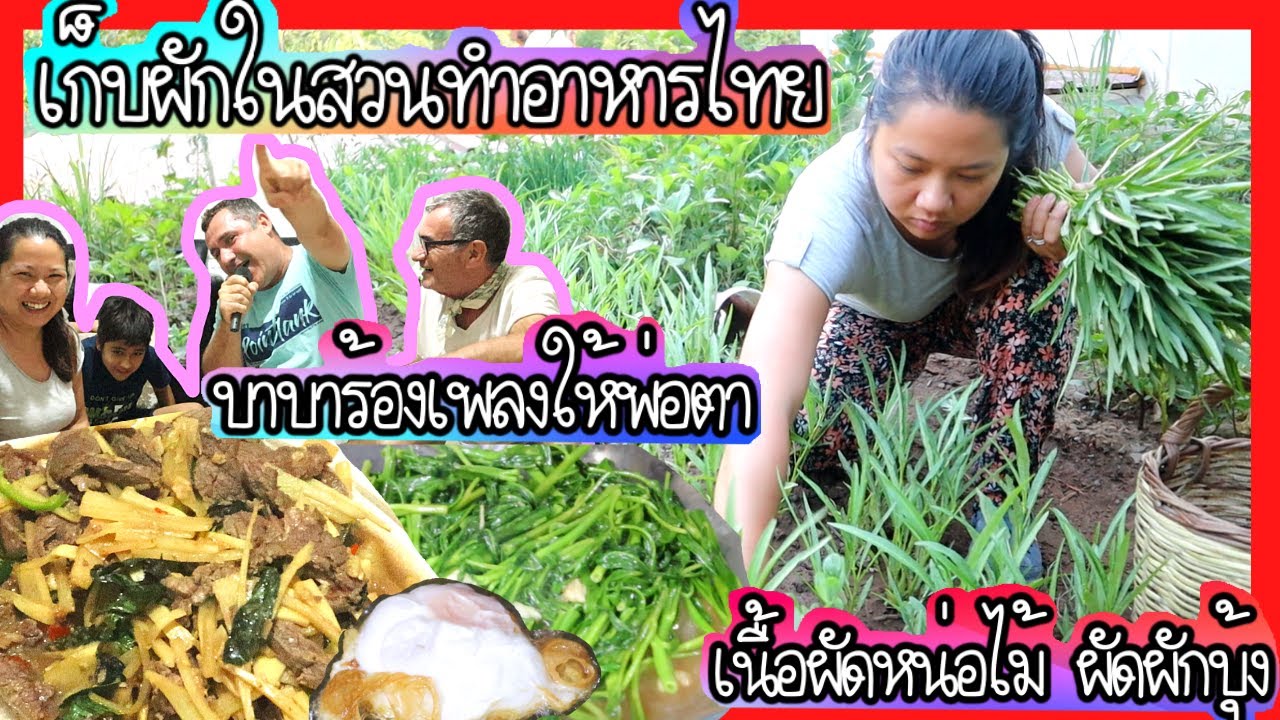 EP.160 เก็บผักในสวนทำ