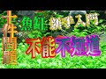 #水草新手篇7~想養簡單又漂亮的魚缸嗎?那你不能不知道的十件事情.......