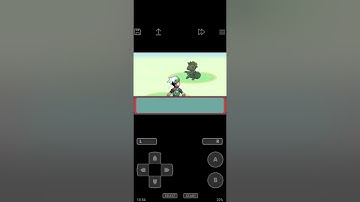 Pokemon Emerald walkthrough ep 11:Featherbadge and Devon Scope