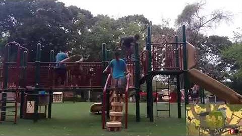 Abertura do Clarêncio na vida real