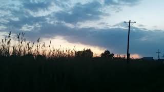 Лес. Озеро. Закат. Вечерний хор обитателей озера. Видео с вело прогулки.