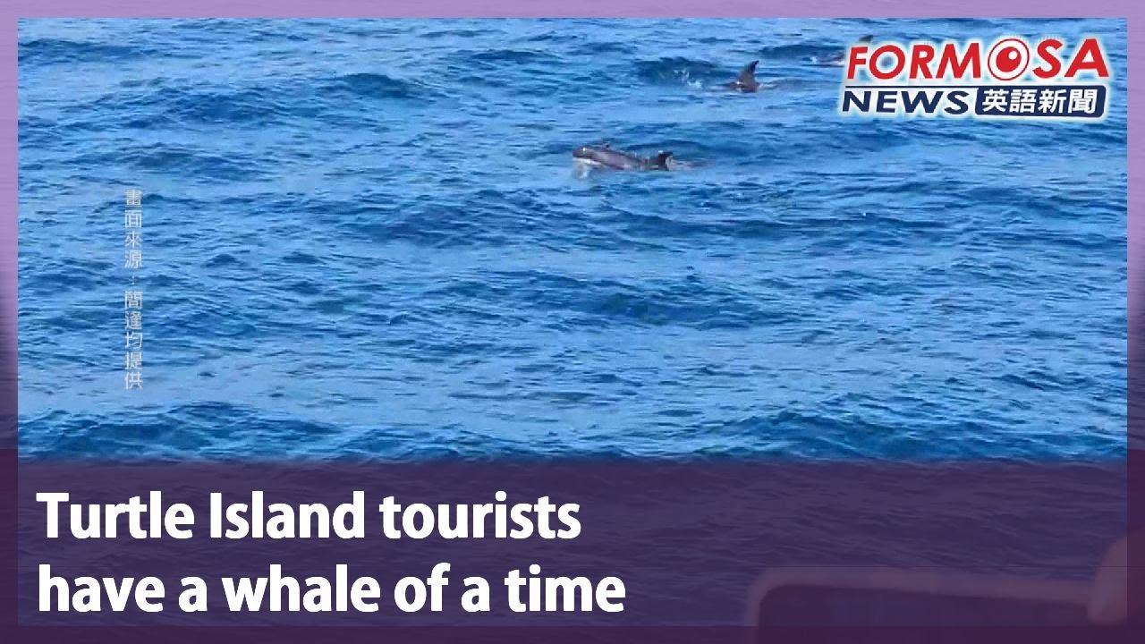 Turtle Island tourists have a whale of a time｜Taiwan News