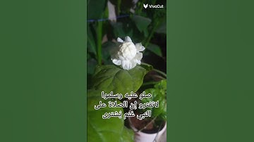 #ـسورة الكهف#ـيوم الجمعه#ـالصلاه على النبي #اكسبلور #لايك  دعمكم لو سمحتو اذابتحبو فديوهاتي