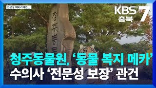 청주동물원, ‘동물 복지 메카’…수의사 ‘전문성 보장’ 관건 / KBS  2023.11.21.