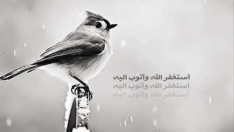 أرح سمعك القرأن الكريم تلاوة القارئ صلاح بوخاطر حالات واتس أب اسلامية القرأن الكريم