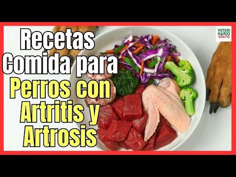 Video: Alimentos para perros artríticos