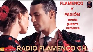RUMBA FLAMENCO 2026 flamenco y pasión #musica #rumba #salsa #music #flamenco #guitarra #rumbas
