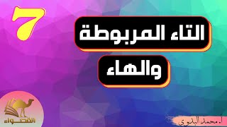 التاء المربوطة والهاء | الصف السابع | المنهاج العماني | ف2