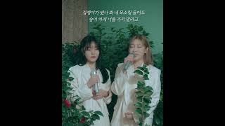 [세로라이브] 아샤트리 Ashatree -나 이젠 l'm now...(live)