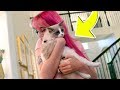 SURPRISING GIRLFRIEND WITH A KITTEN!