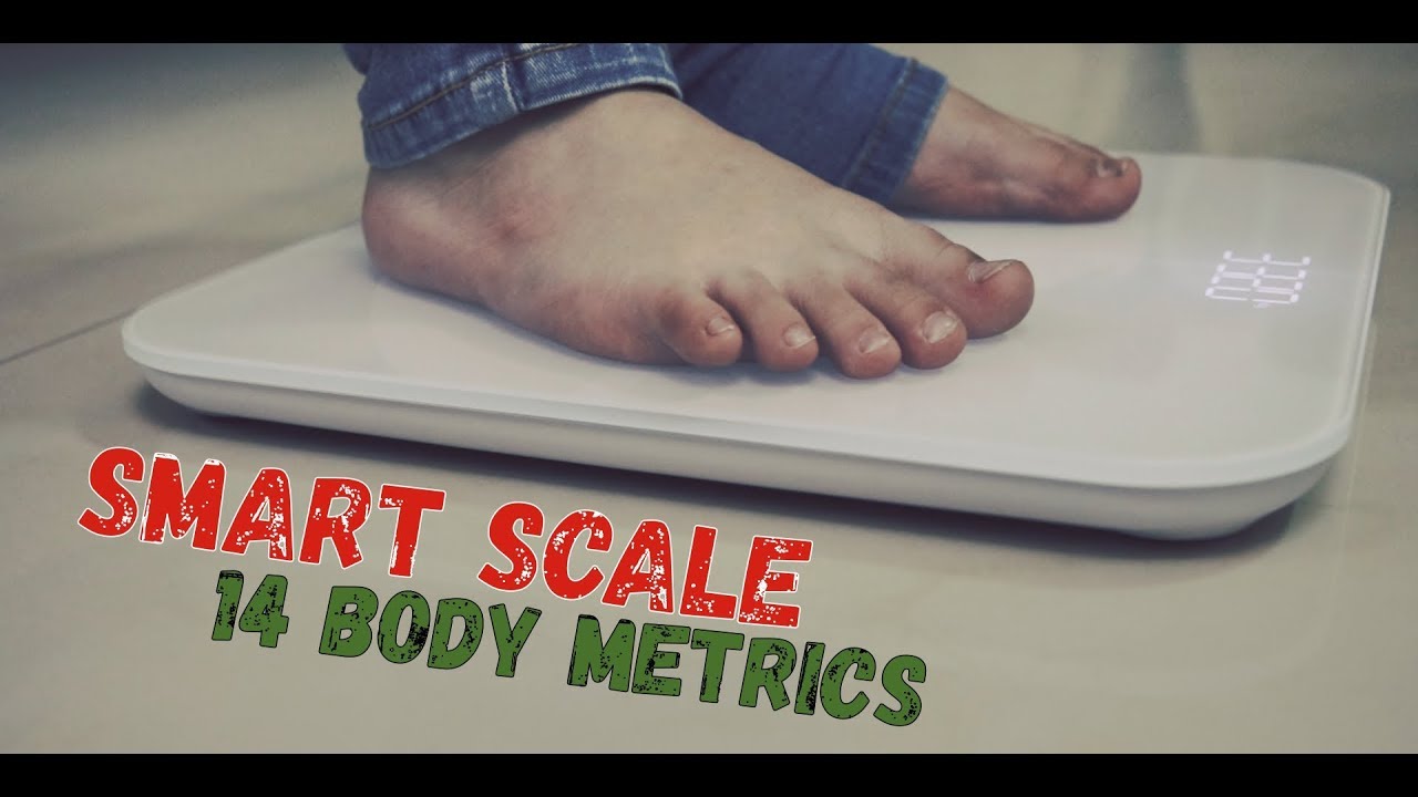 Actofit SmartScale Measures 14 body composition metrics, Smart AI