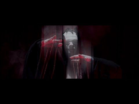 Chronoform - The Paradox (Official Music Video)