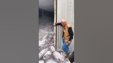 Smart Method of Unloading Frozen Fish Containers