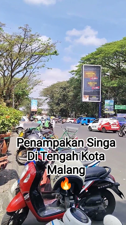 Penampakan Singa Di Kota Malang #malang #malanghits #malangkeren #shorts #viral #trending