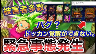 ドッカンバトル 超必見 詫び石確定 ケール カリフラがドッカン覚醒ができない原因を教えます 正直 俺も最初はわかりませんでした Dokkan Battle Youtube ドッカンバトル 超必見 詫び石確定 ケール カリフラがドッカン覚醒ができない原因を教えます 正直 俺も最初はわかりませんでした Dokkan Battle Youtube