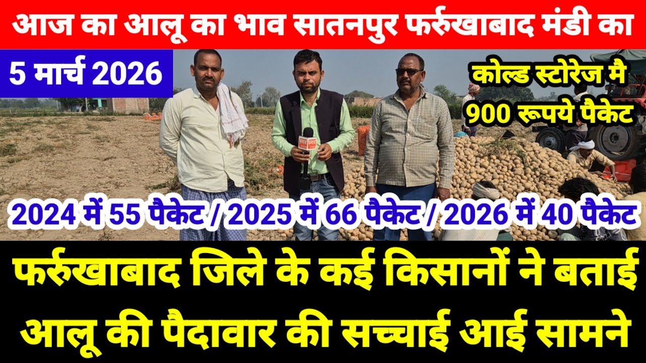 फर्रुखाबाद जिले के कई किसानों ने बताई आलू की पैदावार की सच्चाई || Aalu Ka Bhav Farrukhabad Mandi Ka