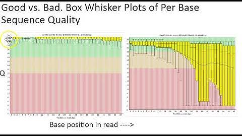 FastQC tool for read data quality eval