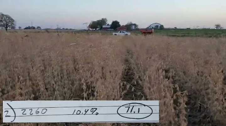Organic Soybeans into Rye Test Plot Results