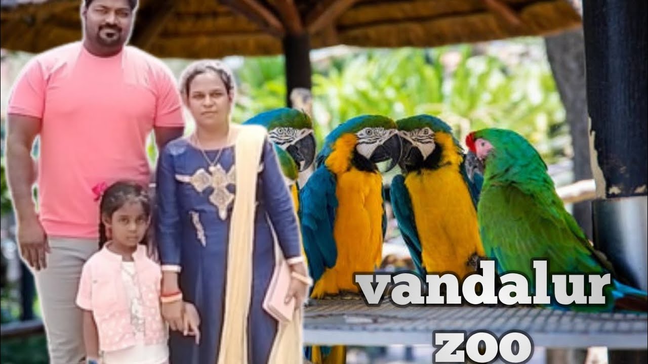 VANDALUR ZOO 2023💥Arignar Anna Zoilogical park, vandalur, chennai