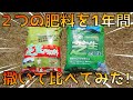 【芝生】肥料の比較-バロネスとホームセンターの肥料を一年間撒き続けた結果-